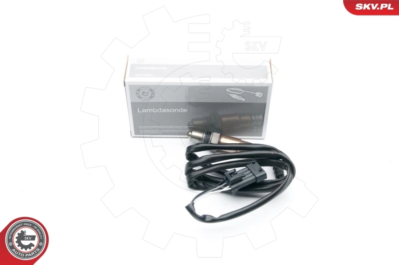 Oxygen Sensor